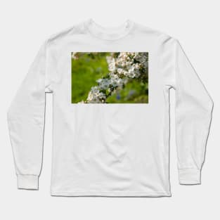 Spring white pear tree flowers on a green field Long Sleeve T-Shirt